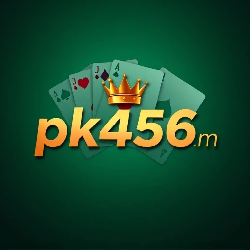 pk456.com Logo